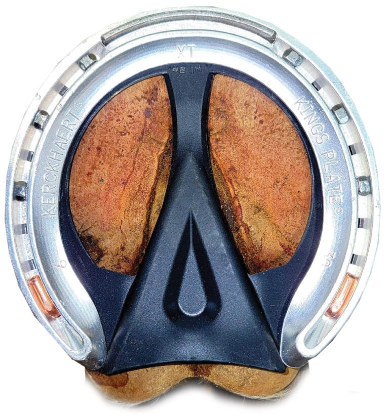 Ed Eclipse Hoof Pad DECRON HORSE CARE